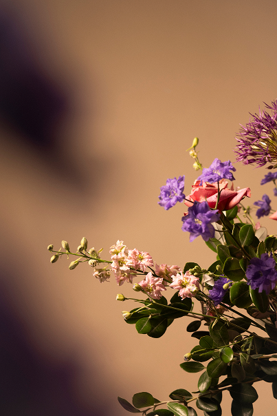 Gros plan floral doux et flou aux tons violets et rosés